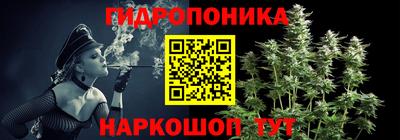 крисы Краснодар