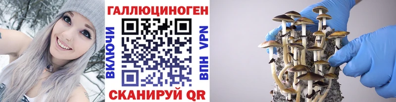 Галлюциногенные грибы прущие грибы  Холмск 