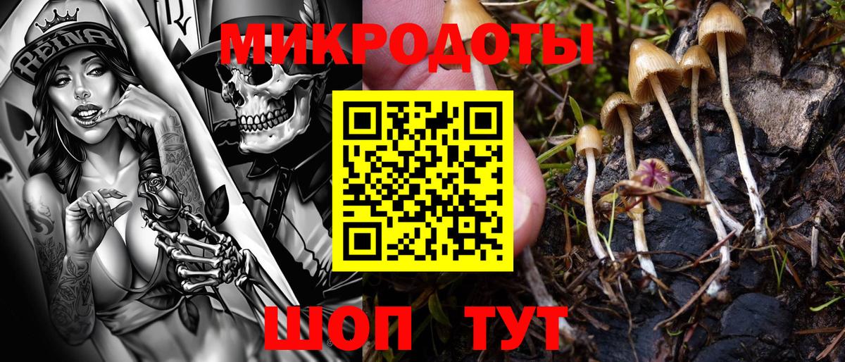 Псилоцибиновые грибы Cubensis Холмск