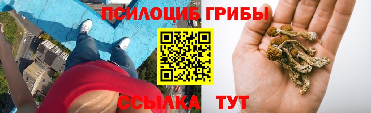 Холмск  где купить наркоту  Псилоцибиновые грибы прущие грибы  Вход с VPN  Галлюциногенные грибы Cubensis 