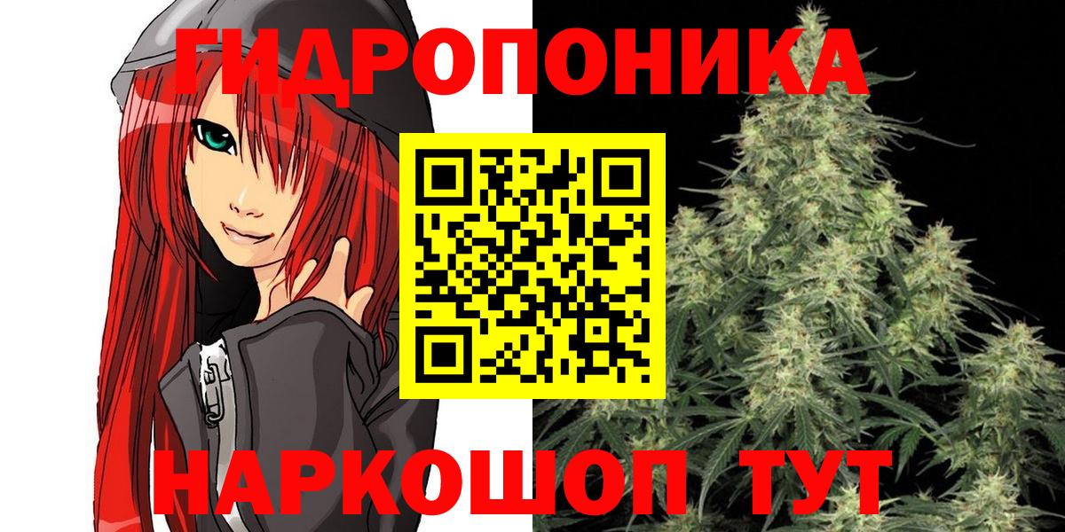 Холмск  Канабис сатива  Канабис OG Kush  Вход с VPN  Каннабис Bruce Banner 